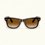 Ray-Ban Wayfarer Sunglass (Brown Shade Lens)