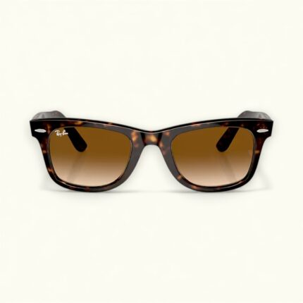 Ray-Ban Wayfarer Sunglass (Brown Shade Lens)